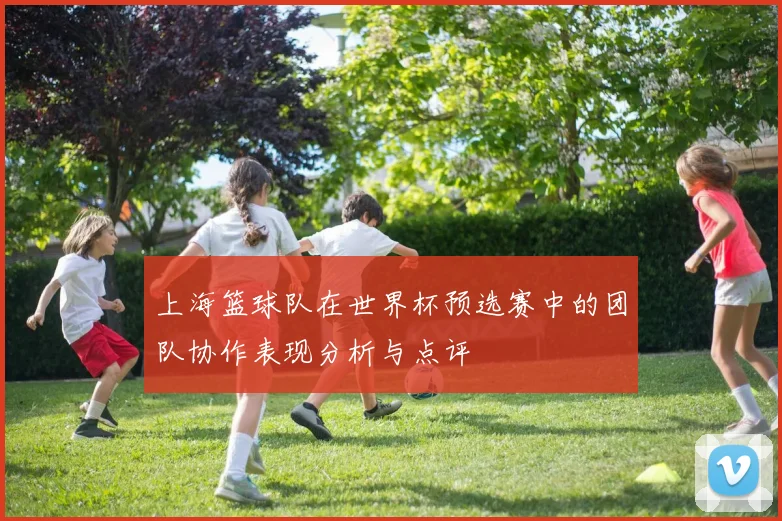 上海篮球队在世界杯预选赛中的团队协作表现分析与点评