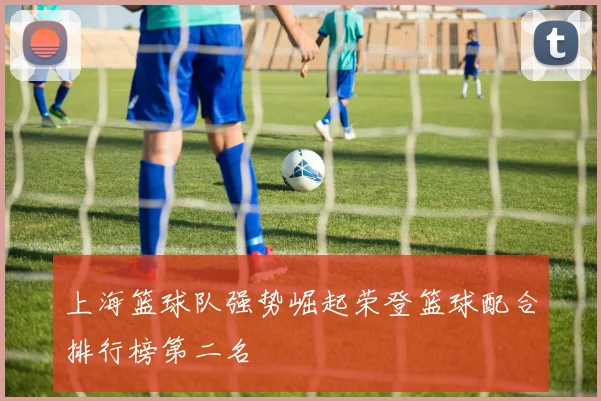 上海篮球队强势崛起荣登篮球配合排行榜第二名