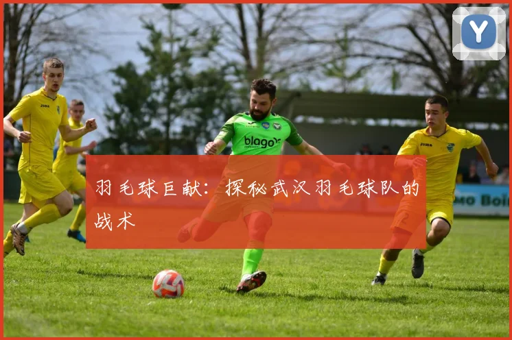 羽毛球巨献：探秘武汉羽毛球队的战术