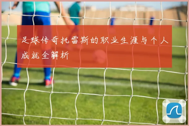 足球传奇托雷斯的职业生涯与个人成就全解析