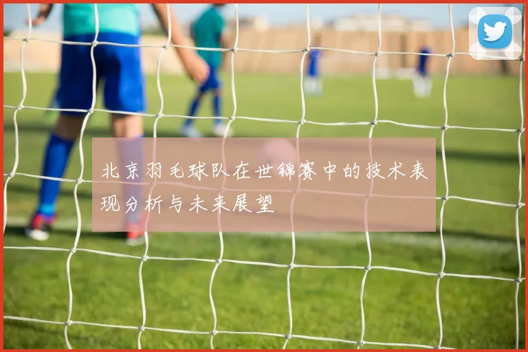 北京羽毛球队在世锦赛中的技术表现分析与未来展望