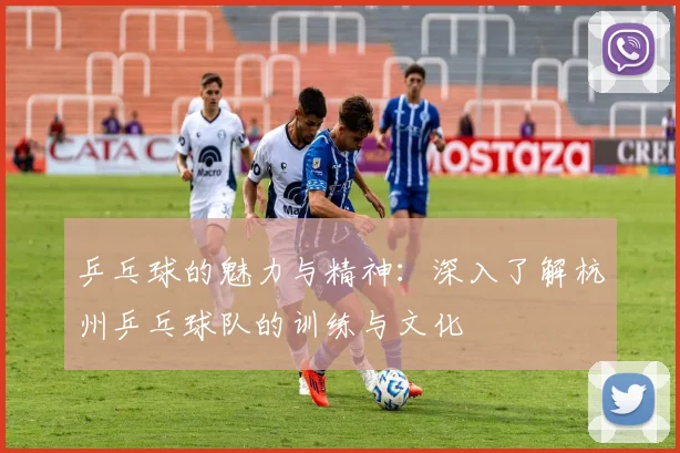 乒乓球的魅力与精神：深入了解杭州乒乓球队的训练与文化